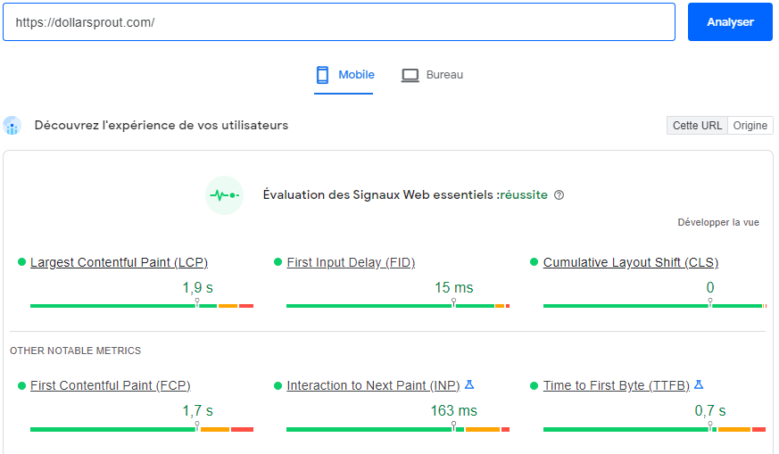 cwv page speed insights